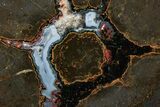 Colorful Polished Thunderegg Half - Nevada #337799-1